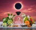 Maison-Alhambra-Pink-Eclipse-100-ml-EDP.webp