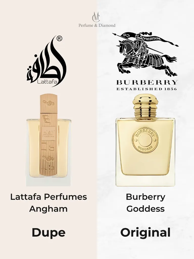 676ebbecb7dbd1a4565575e0e8286dfb (1).webp